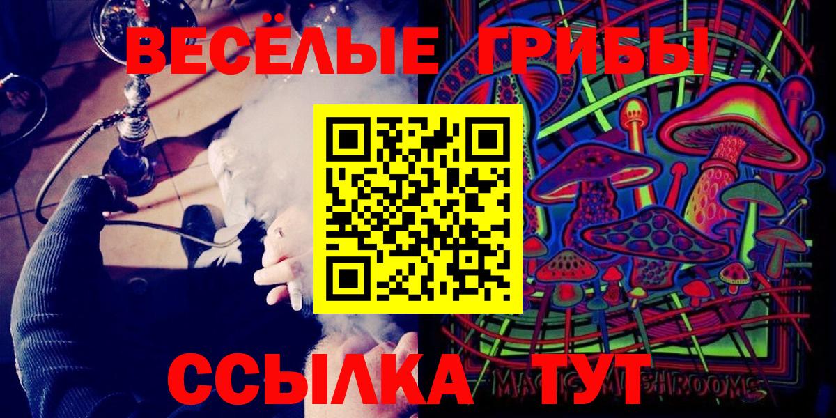 Псилоцибиновые грибы GOLDEN TEACHER  Вход с VPN  Ртищево 
